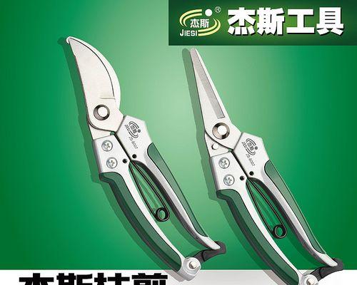 修剪葡萄枝条的最佳方法是什么？修剪后如何促进生长？