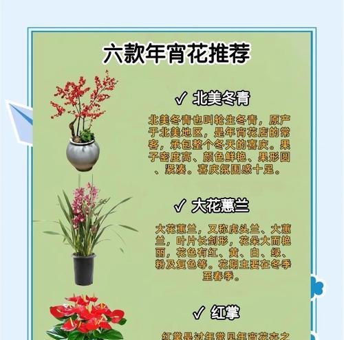 104朵花的寓意是什么意思？花语背后隐藏的含义是什么？