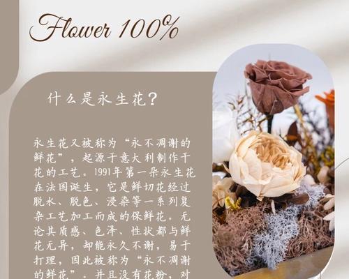 104朵花代表什么含义？花语解释及常见问题解答？