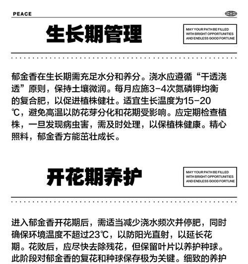 郁金香养护种植方法是什么？如何确保郁金香健康生长？