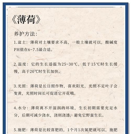 薄荷怎么种植方法？薄荷种植的步骤和注意事项是什么？