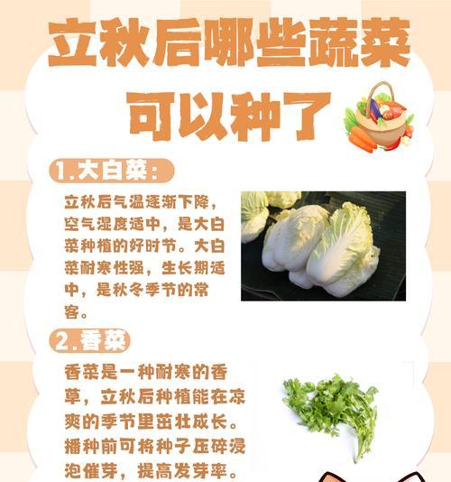 青菜催芽播种方法是什么？步骤和注意事项有哪些？
