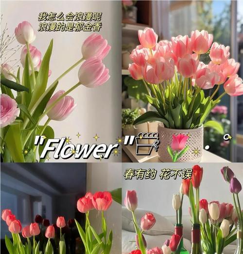 郁金香种子催芽方法是什么？需要多长时间才能发芽？