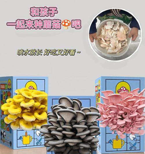 野生鸡菇种植方法有哪些？如何确保种植成功？