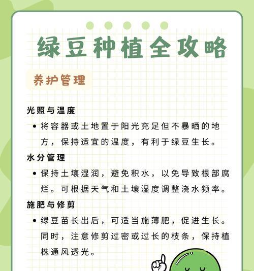 大绿豆芽怎么种植方法？步骤和技巧有哪些？