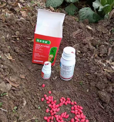 花生玉米怎么催芽？有效催芽方法有哪些？