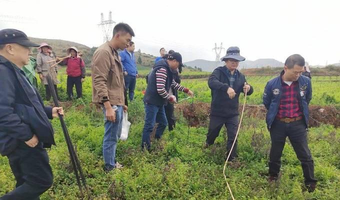 竹山参种植方法有哪些？如何确保种植成功？