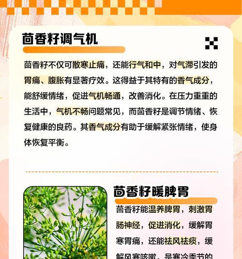 茴香种子种植方法是什么？如何正确种植茴香种子？