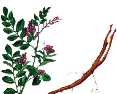 干草籽催芽方法是什么？需要多长时间才能发芽？