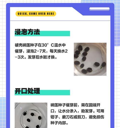 干草籽催芽方法是什么？需要多长时间才能发芽？