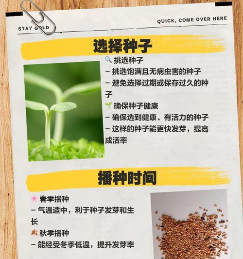 混种月季种植方法是什么？如何正确进行混种月季的种植？