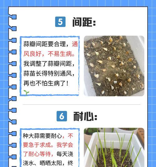 在家种蒜苗的正确方法是什么？种植过程中需要注意哪些问题？