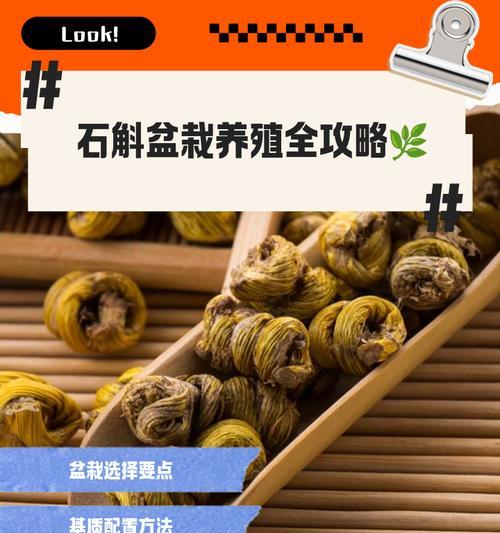 家里怎么种植石斛种植方法？有哪些步骤和注意事项？