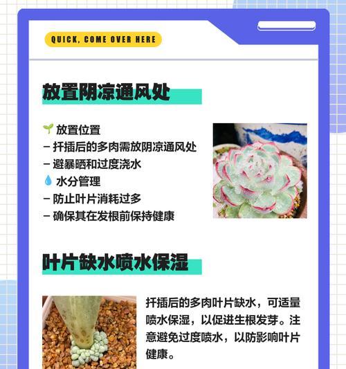 移栽老桩催芽方法是什么？如何快速促进芽点生长？