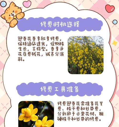 丛生春花修剪枝条的最佳时机是什么时候？如何正确修剪以促进生长？