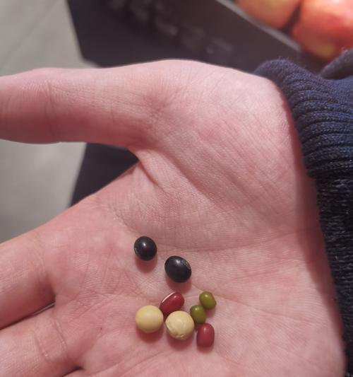 怎么给黑豆催芽种植？黑豆催芽种植的正确步骤是什么？