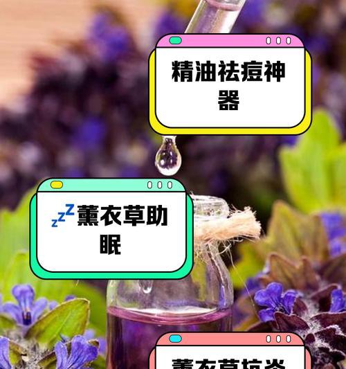 薰衣草冷冻催芽方法是什么？操作步骤和注意事项有哪些？