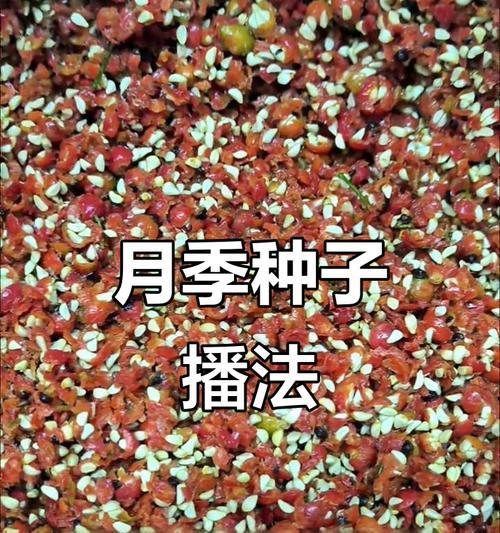 催种子怎么催芽？有效方法有哪些？
