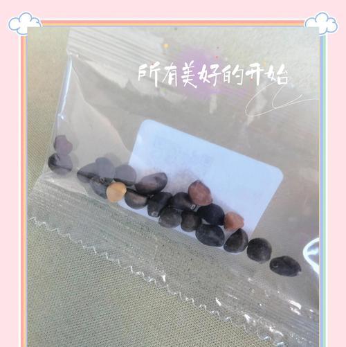 催种子怎么催芽？有效方法有哪些？