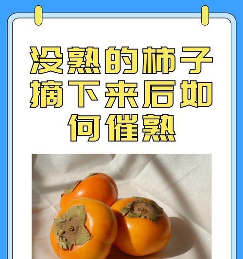 柿子籽催芽方法是什么？需要多长时间才能发芽？