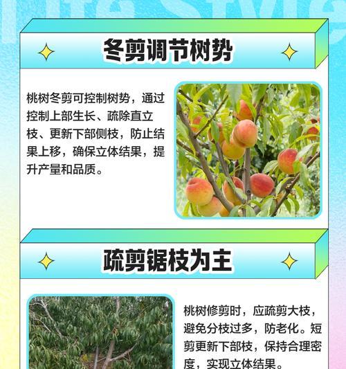 大桃树修剪枝条的最佳时期是什么时候？如何正确修剪以提高产量？