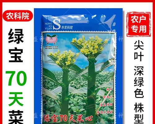 阳台菜心种植方法有哪些？如何确保阳台菜心生长旺盛？