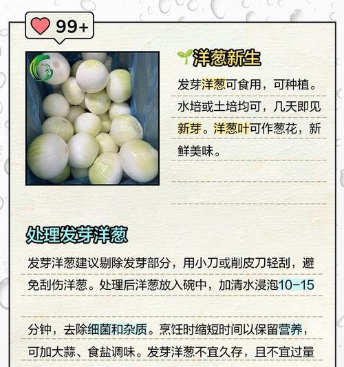 刚收回来的葱头催芽再种的正确方法是什么？