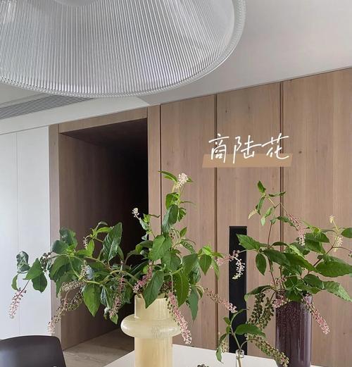 大花瓶修剪枝条的最佳方法是什么？修剪后如何保持花瓶美观？