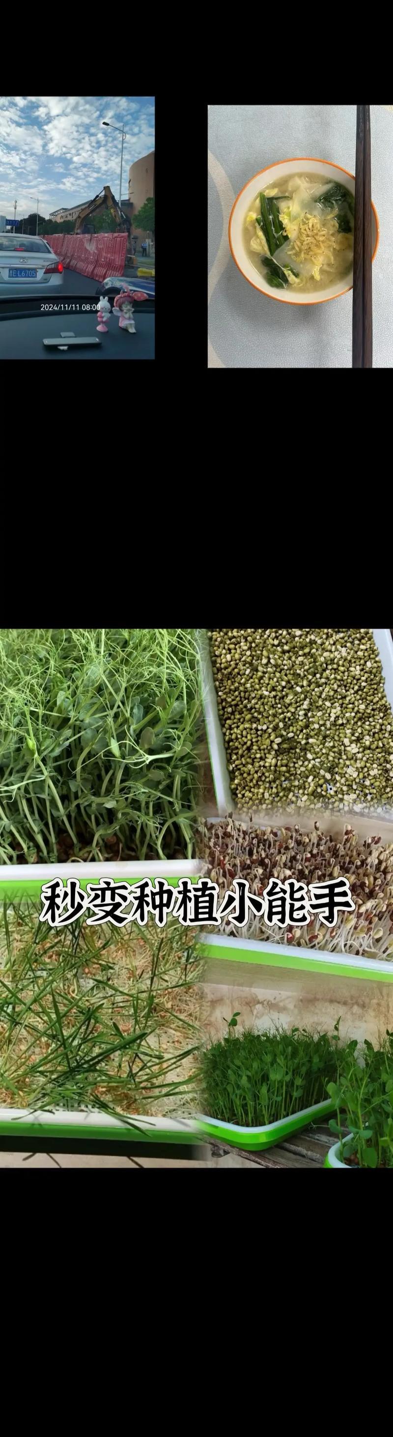 云南种蒜怎么种植方法？步骤和注意事项是什么？