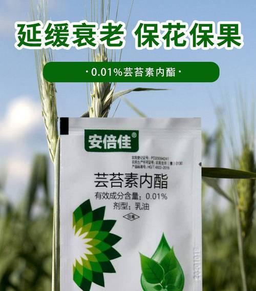 沙葱催芽生长剂使用方法是什么？使用过程中需要注意哪些问题？