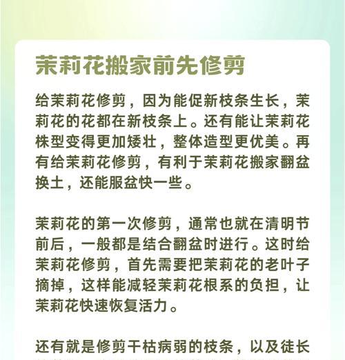 催芽移栽后如何快速促进植物生长？有效方法有哪些？