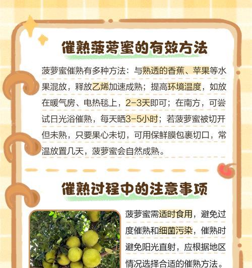 菠萝蜜怎么种植方法？从种子到收获的完整指南？
