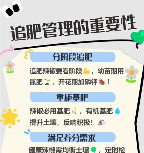 辣椒怎么种植方法？家庭种植辣椒有哪些技巧？