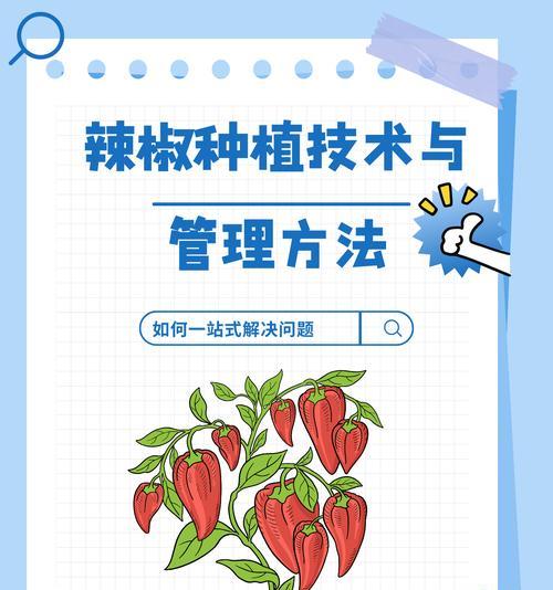辣椒怎么种植方法？家庭种植辣椒有哪些技巧？