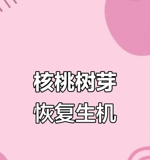 核桃开芽了怎么种植方法？步骤和注意事项是什么？