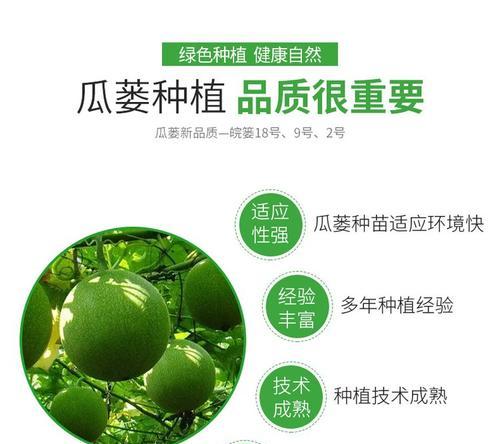 吊蒌瓜种子催芽方法是什么？需要多长时间才能发芽？