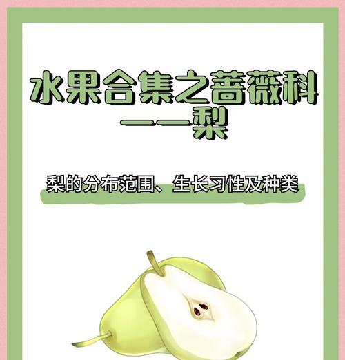 梨子种子怎么种植方法？步骤和注意事项是什么？