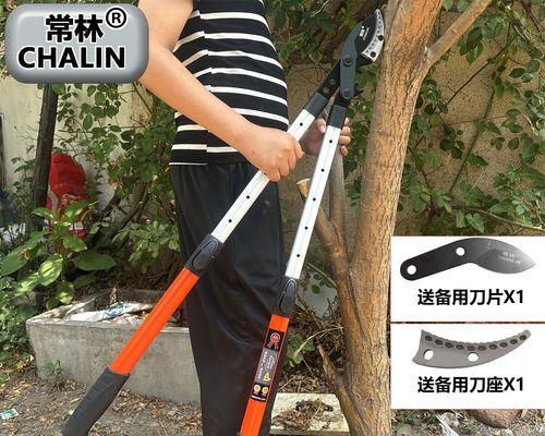 竹花修剪枝条的最佳时机是什么时候？如何正确修剪以促进生长？