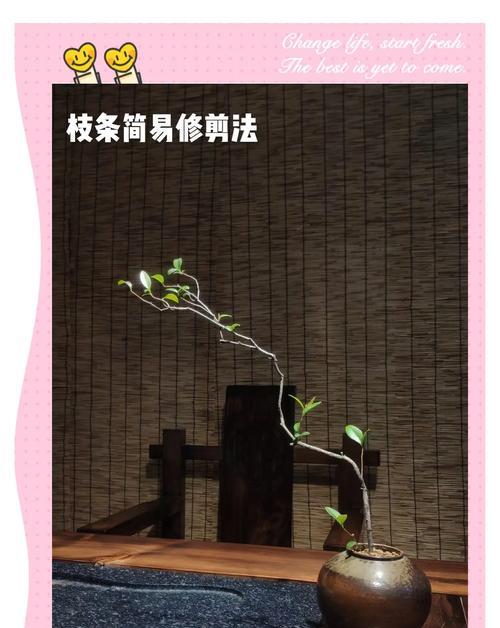 竹花修剪枝条的最佳时机是什么时候？如何正确修剪以促进生长？