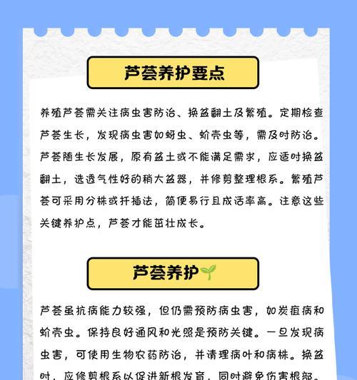 小芦荟种植方法和技巧是什么？如何确保小芦荟健康成长？