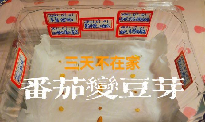 福豆催芽方法有哪些？如何快速催芽？