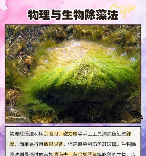 水草黑藻修剪枝条的正确方法是什么？修剪后如何护理？