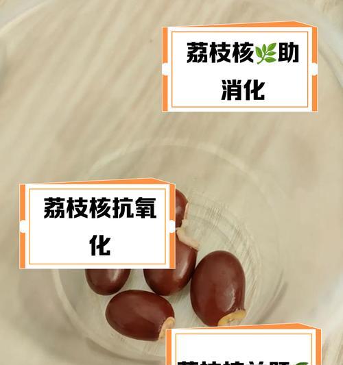 荔枝核催芽方法是什么？步骤和注意事项有哪些？