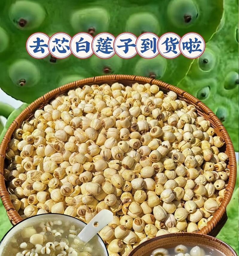 莲子种植方法有哪些步骤？如何确保莲子种植成功？