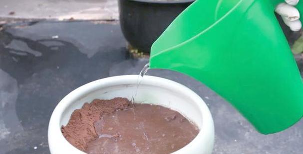 莲子种植方法有哪些步骤？如何确保莲子种植成功？