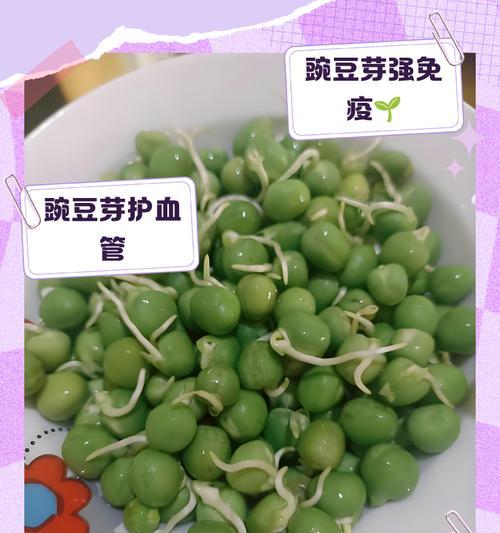 青豌豆催芽最快的方法是什么？需要多长时间才能发芽？
