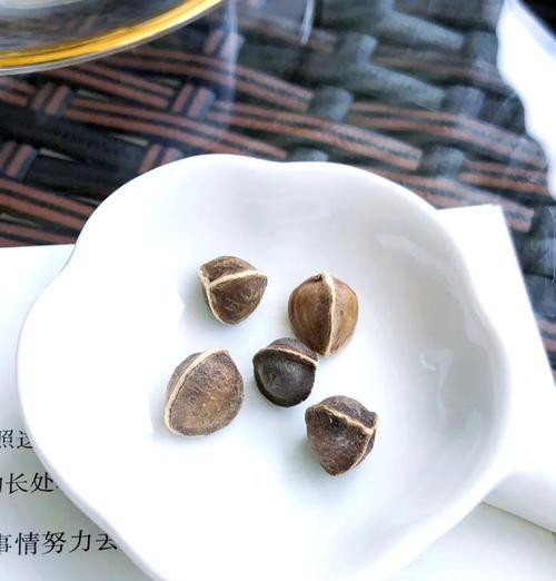 辣木籽怎么种植方法？种植辣木籽有哪些步骤和注意事项？