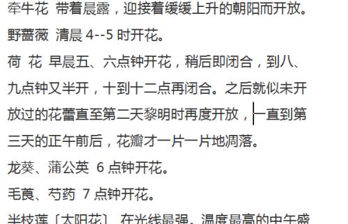 芙蓉葵花种植方法有哪些？如何确保种植成功？