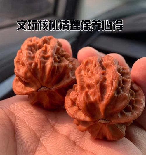 核桃文玩催芽怎么处理？步骤和注意事项是什么？