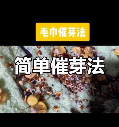 种子催芽时出现异味如何处理？